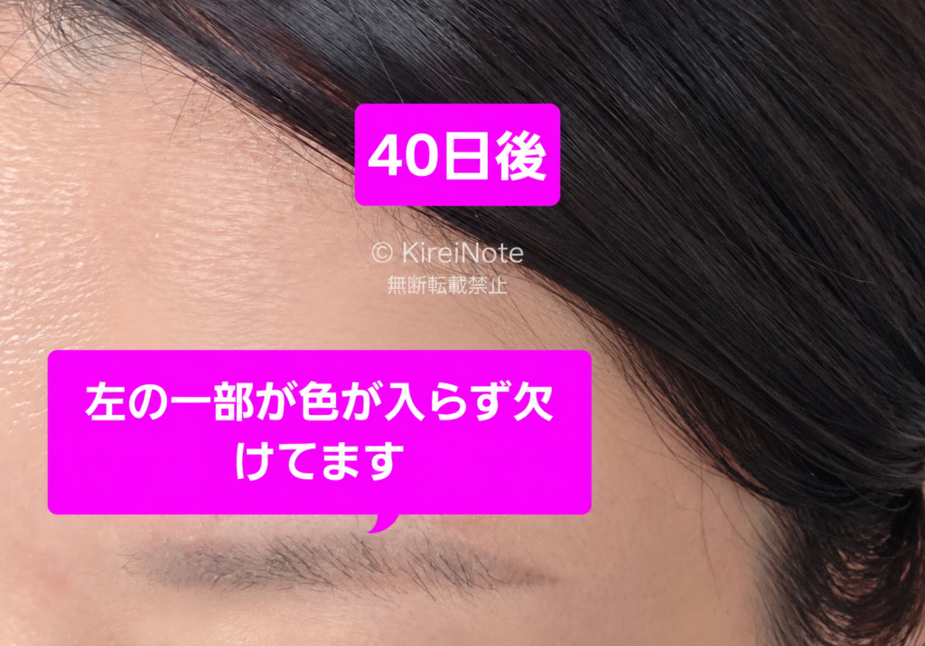 眉毛アートメイク施術40日後の眉の経過写真
